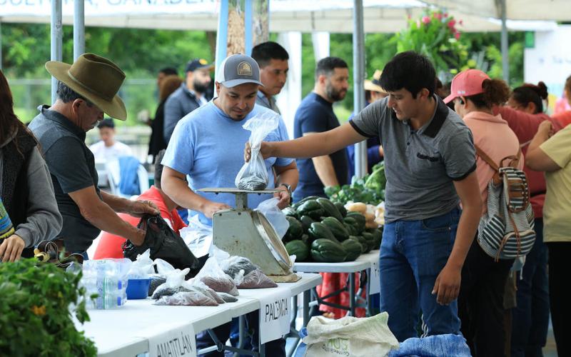 Campo Marte se transforma en un mercado de productos frescos