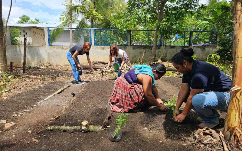Creación de huerto familiar fortalece alimentación familiar