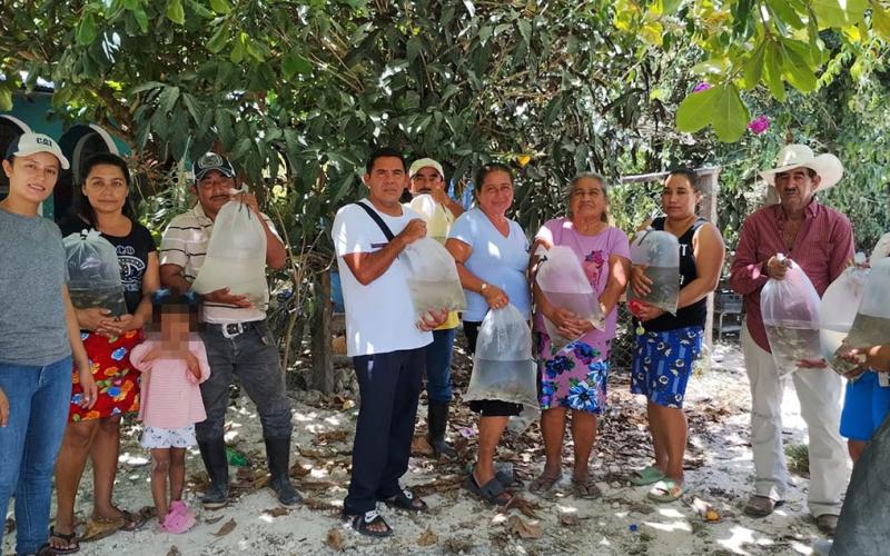 Entrega de más de 100 mil alevines de tilapia impulsa la acuicultura sostenible en Petén