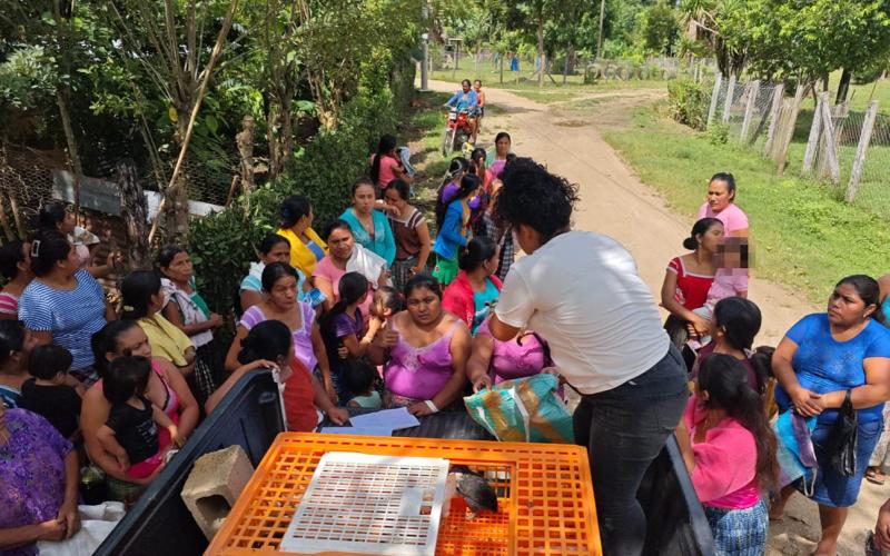 Entregan aves mejoradas en la comunidad de Concoma, Poptún