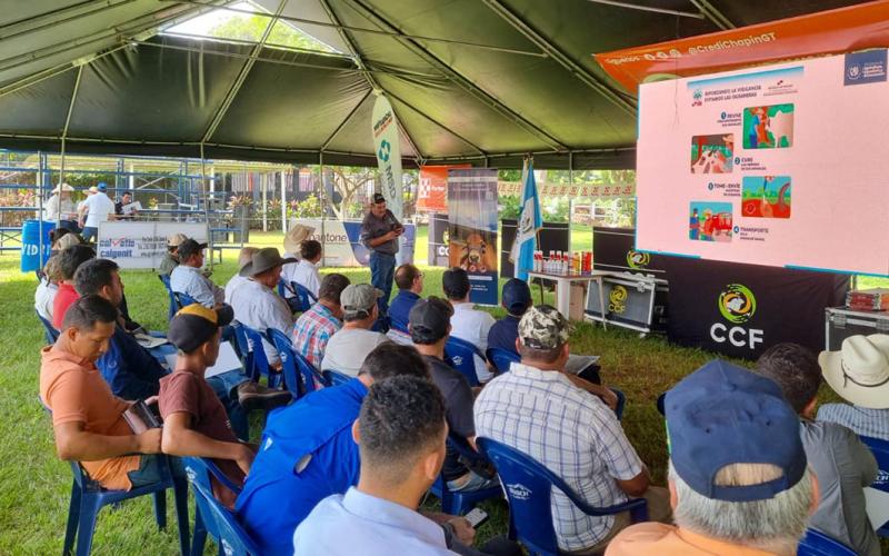 Entregan insumos y capacitan a ganaderos para frenar plaga bovina
