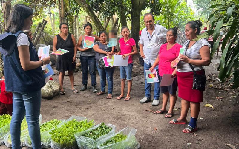 Entregan pilones de hortalizas a familias agricultoras de Suchitepéquez