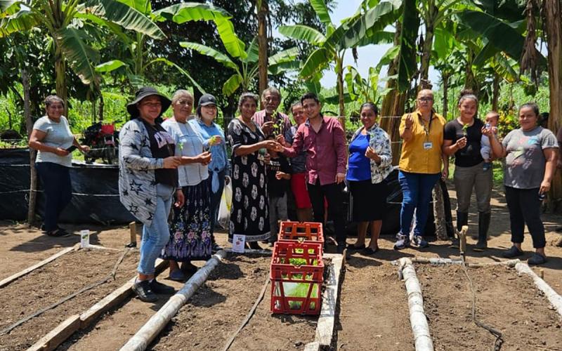 Entregan pilones de hortalizas para huertos comunales de Escuintla