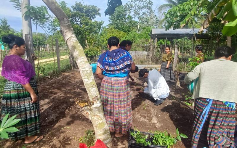 Establecen huerto comunal en la comunidad Nuevo San Francisco, Petén