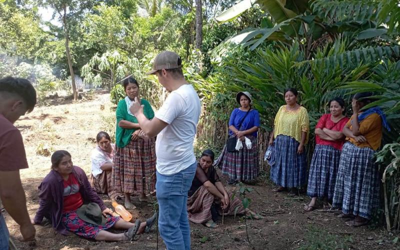 Exponen trabajo por el desarrollo del sector agropecuario en Alta Verapaz