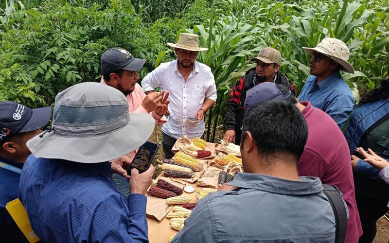 Extensionistas de fortalecen capacidades del Sistema Milpa