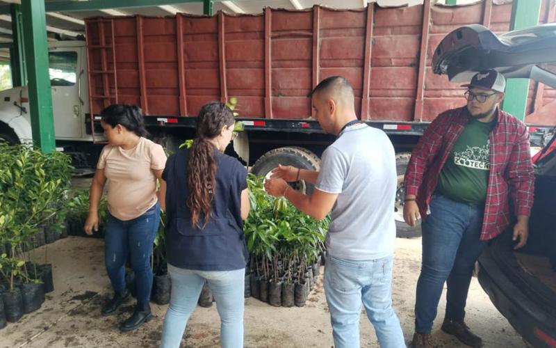 Familias reciben plantas frutales y medicinales para huerto comunal de Zacapa