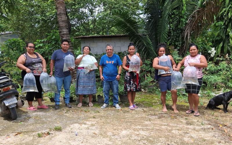 Fortalecen producción acuícola en Poptún