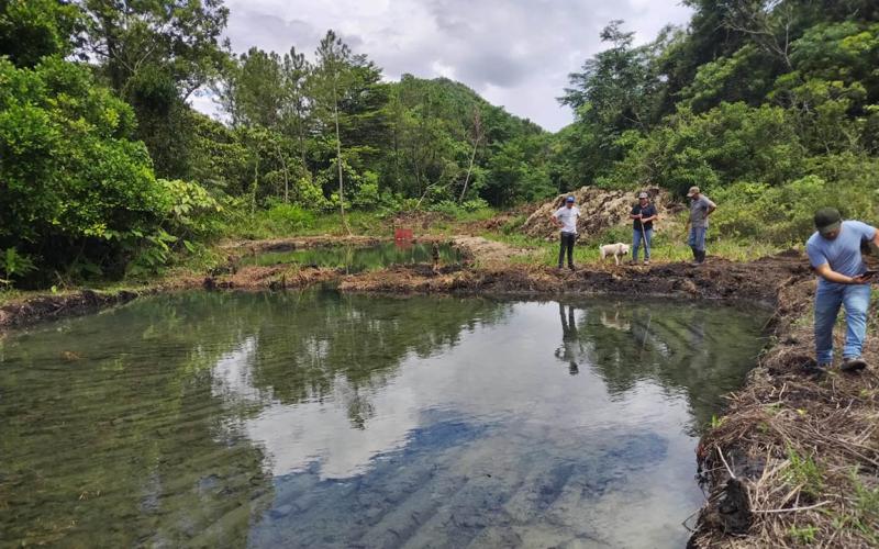 Fortalecen producción artesanal de tilapia en Poptún, Petén