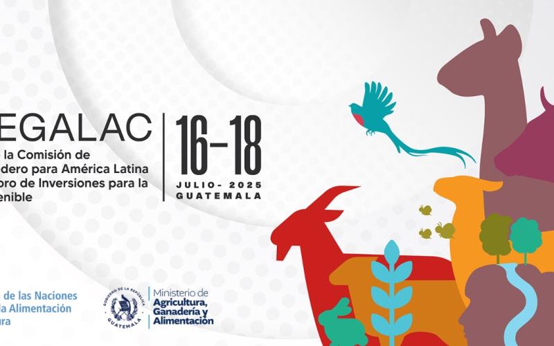 Guatemala sede de cumbre regional de ganadería sostenible