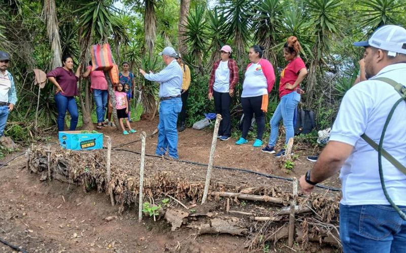 Huerto comunal en Zacapa marca ruta hacia la seguridad alimentaria 