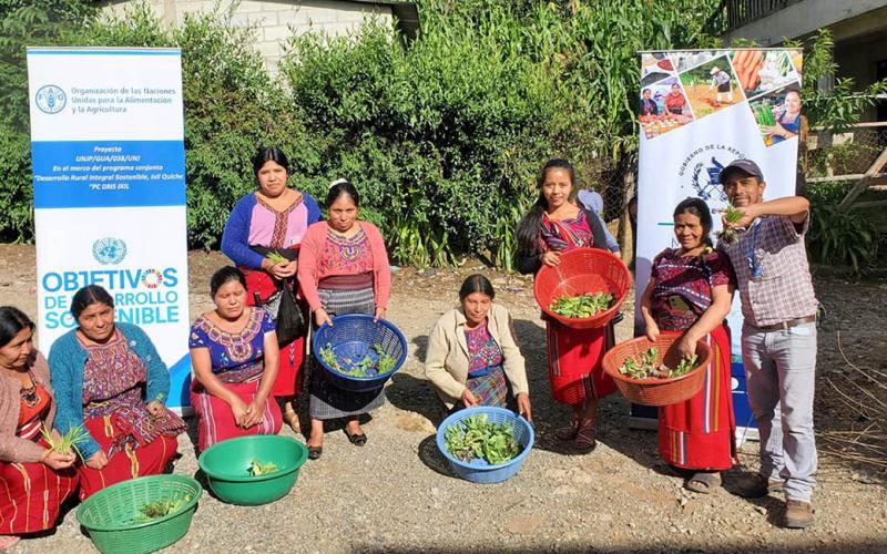 Huertos familiares fortalecen seguridad alimentaria en Nebaj