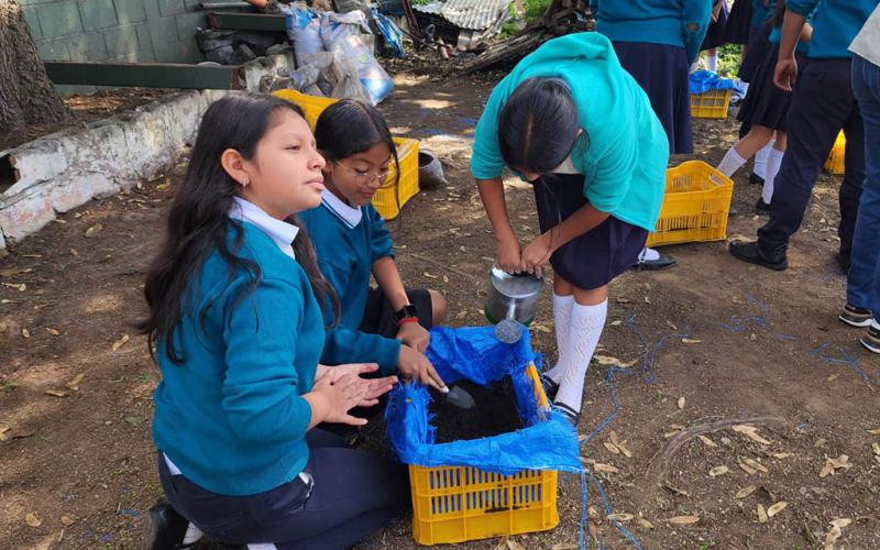 Implementan huerto escolar en escuela urbana capitalina 