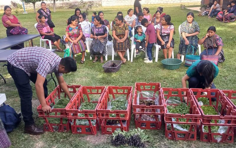 Impulsan huertos familiares en Panajachel con entrega de pilones