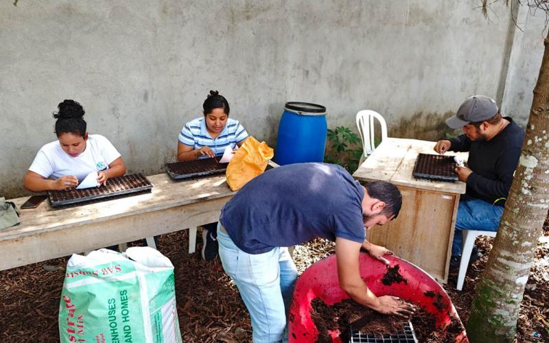 Impulsan producción de hortalizas en el sur de Petén
