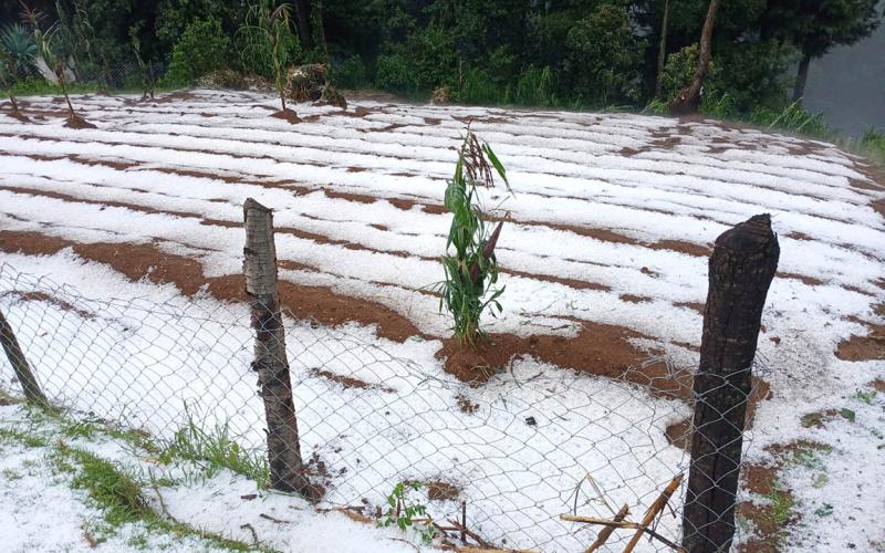 Monitorean y evalúan áreas afectadas en Quetzaltenango y San Marcos por caída de granizo 