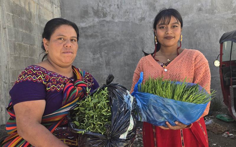 Optimizan producción y disponibilidad de alimentos en Quiché