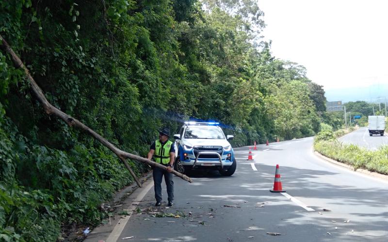 PROVIAL atiende 20 emergencias tras enjambre sísmico en la red vial nacional