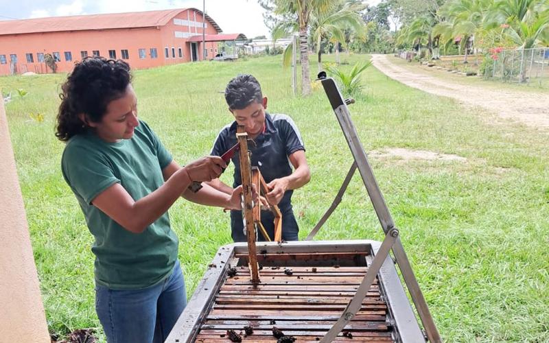 Productor apícola de Machaquilá conoce técnicas de fundición de panales
