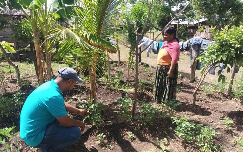 Productores de La Cebada reciben asistencia técnica
