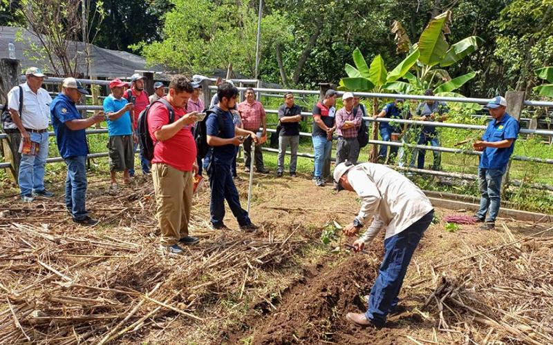 Promueven producción de alimentos sanos en huertos biofortificados de Retalhuleu 