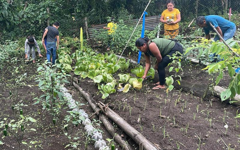 Reciben alimentos por su trabajo en huertos rurales colectivos