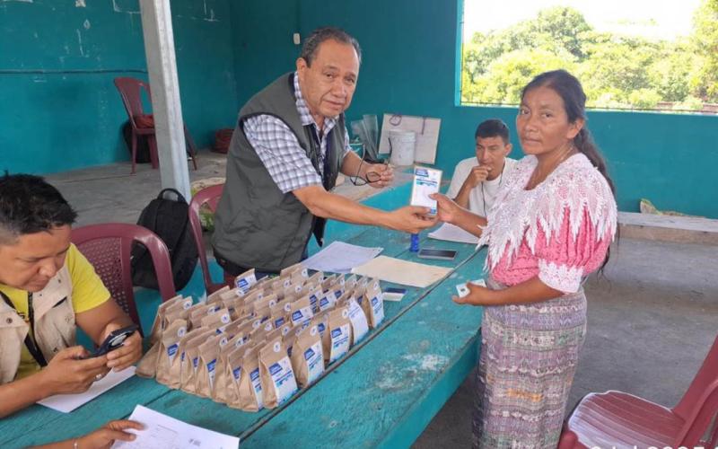 Semillas de hortalizas fortalecen agricultura familiar en Santa Bárbara, Suchitepéquez