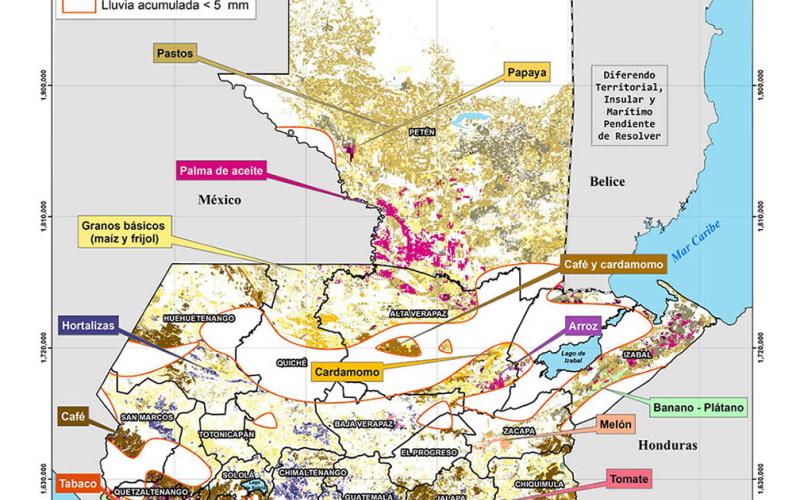 Son monitoreados 320 municipios durante la canícula