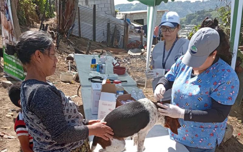 UBA brinda atención veterinaria en Santa María de Jesús