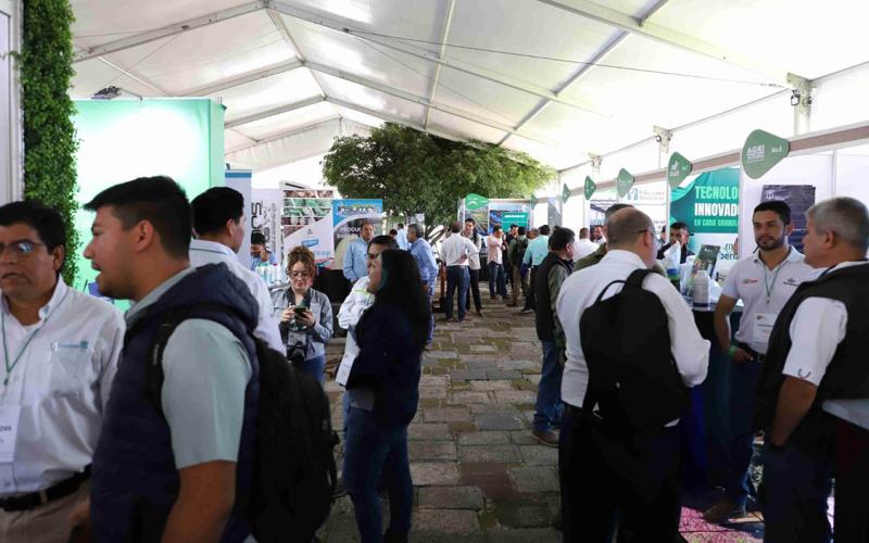 V Congreso de Aguacate impulsa expansión comercial hacia Estados Unidos