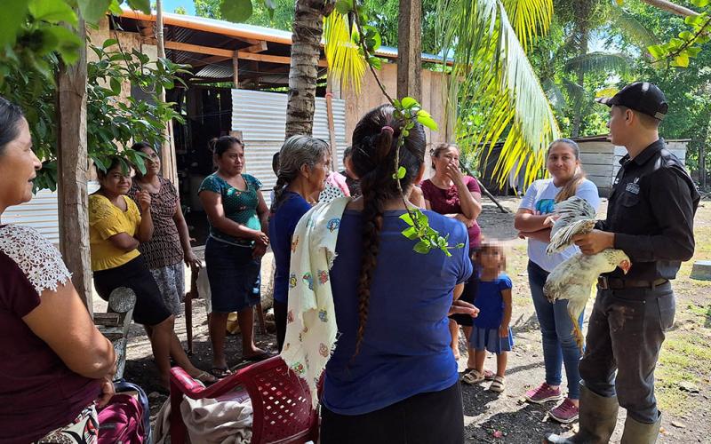 Vacunan aves de patio en Las Cruces, Petén