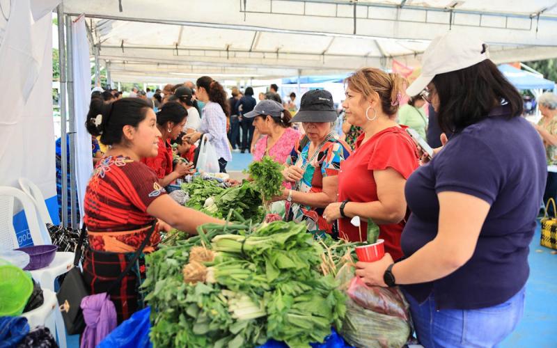 Venga al Campo Marte y descubra los sabores del huerto en la Feria del Agricultor