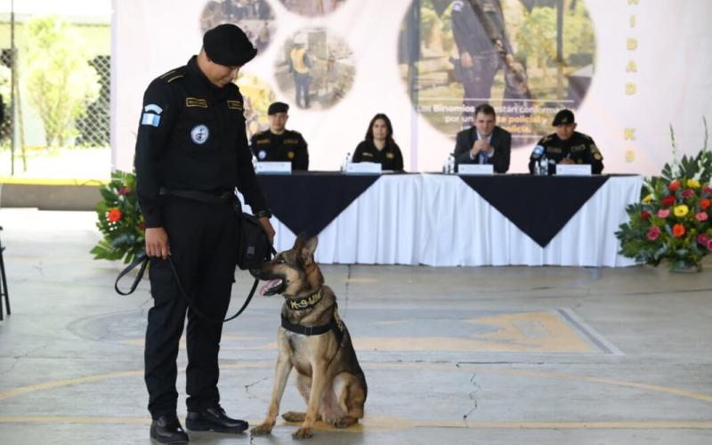 Gradúan a 17 guías caninos K-9 para reforzar la lucha contra el narcotráfico