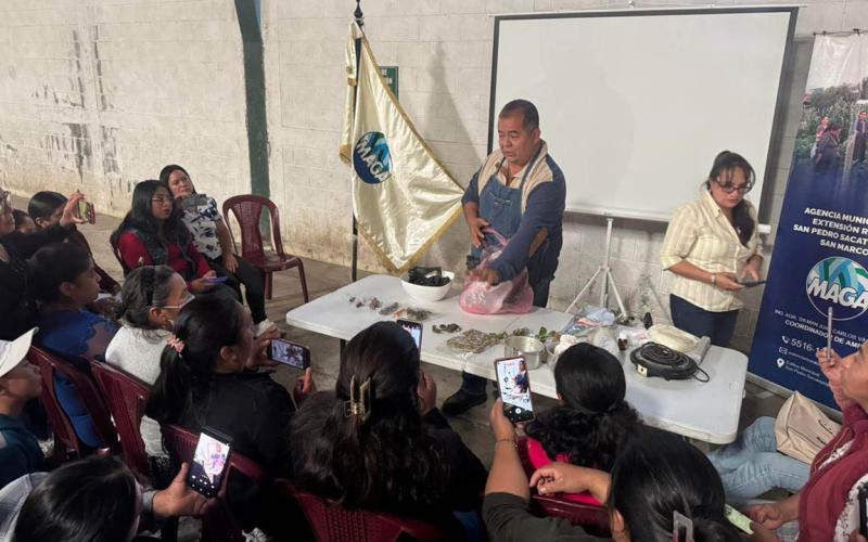 Agricultoras de San Marcos aprenden emprendimientos con plantas medicinales