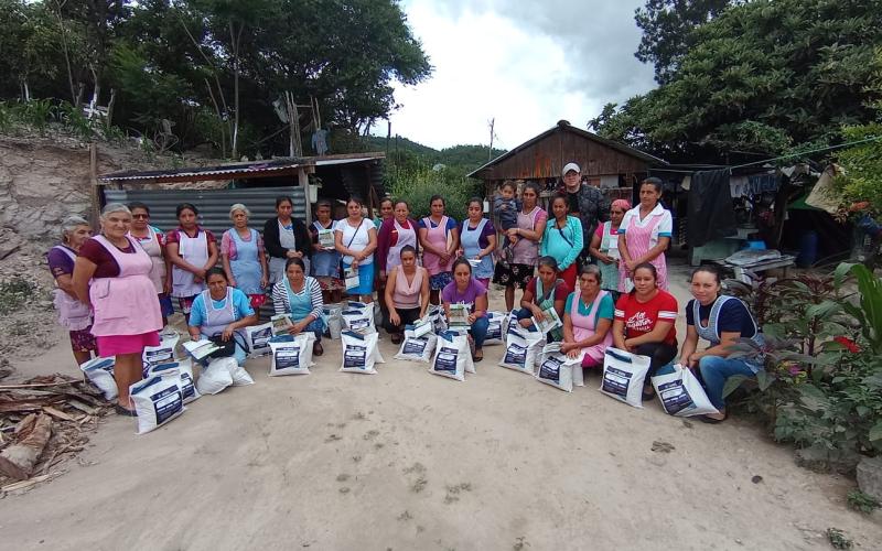 Agricultores de las Verapaces y Quiché reciben semilla de maíz ICTA B-7