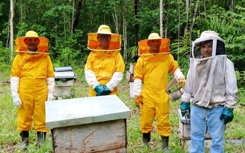 Apicultores de San Andrés, Petén gestionan su registro apícola