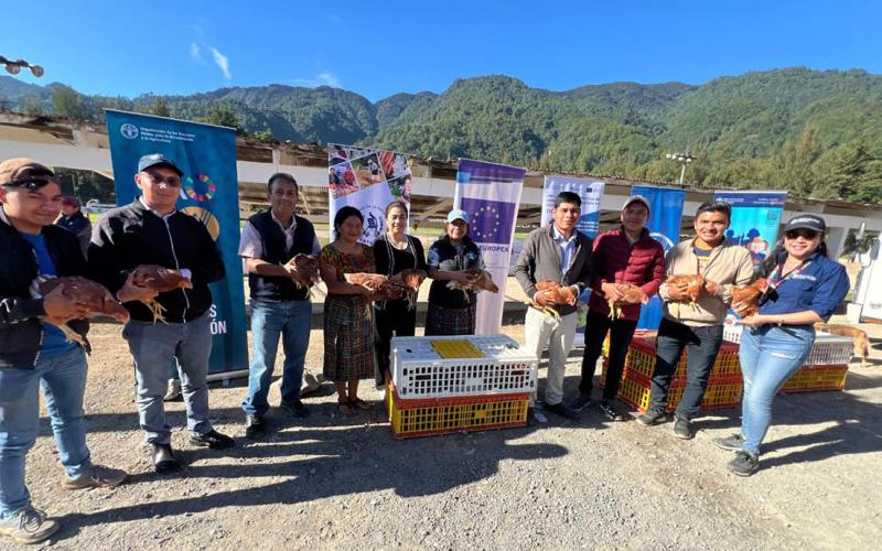 Apoyan con insumos pecuarios a jóvenes emprendedores de Quiché