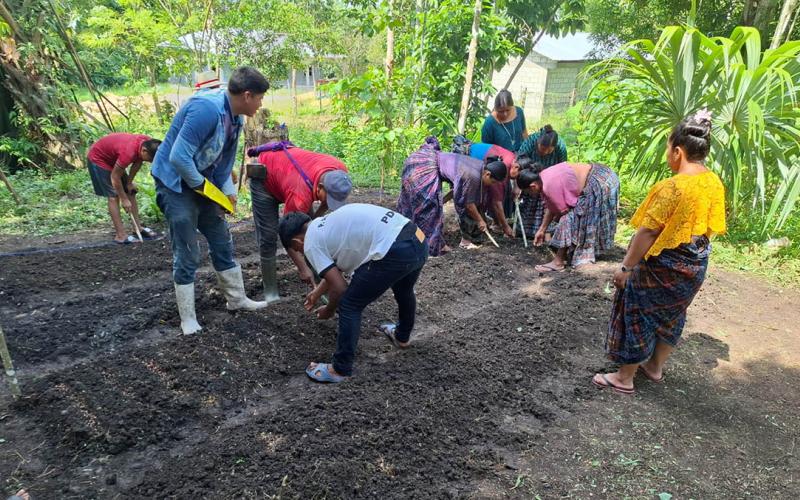 Brindan asistencia técnica de huertos en Sayaxché
