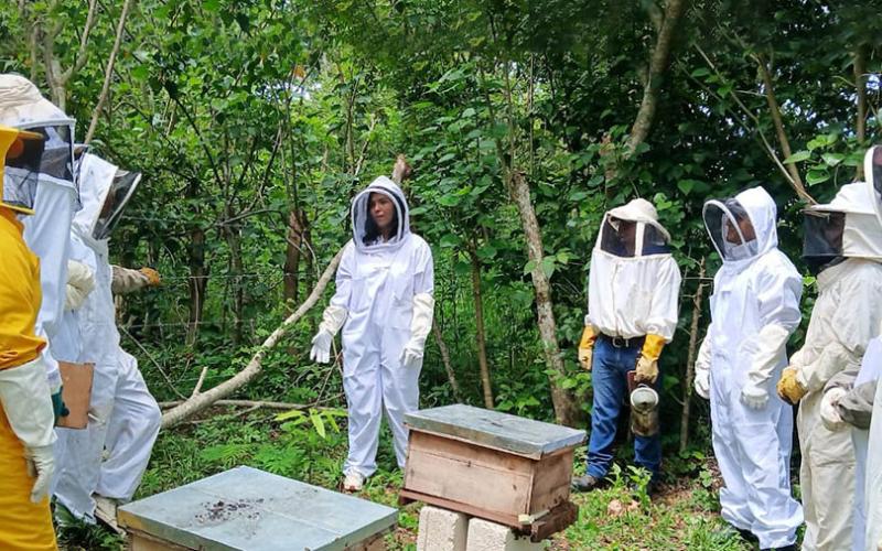 Brindan capacitación en Apicultura Tropical en San Benito, Petén