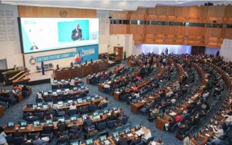 Organismo de Naciones Unidas reconoce liderazgo de Guatemala en Programa de Alimentación Escolar