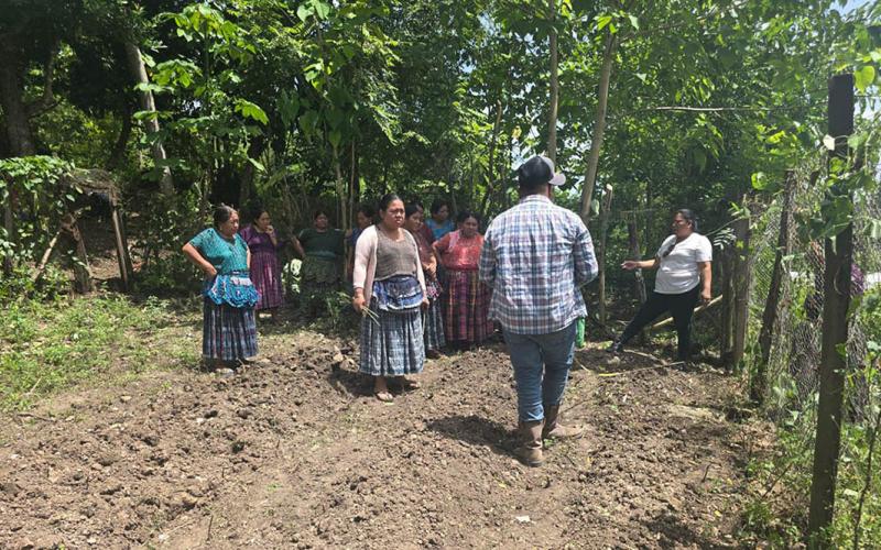 Comunidad de Sayaxché aprende manejo de huerto demostrativo
