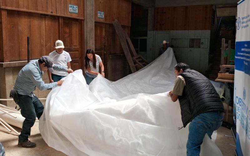 Comunidades de Quichés son apoyadas con insumos agrícolas 