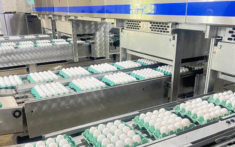 Emitidas 1145 licencias sanitarias de funcionamiento