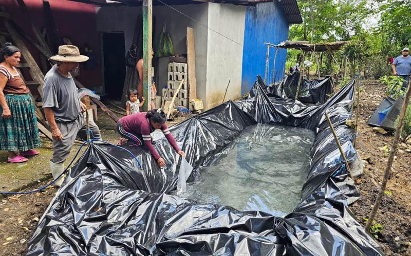 Entrega de alevines apoya producción artesanal de tilapia