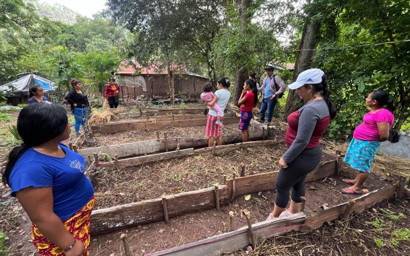 Familias inician su propio huerto en San José La Arada