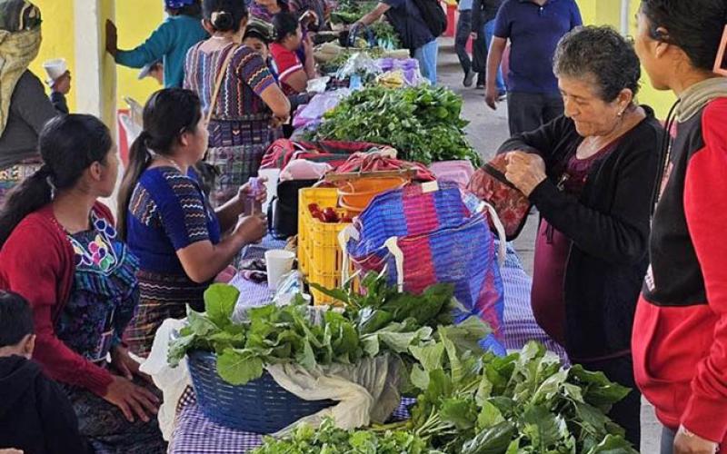 Feria del Agricultor brinda oportunidades comerciales en Baja Verapaz