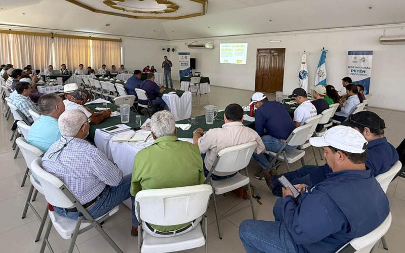 Fortalecen acciones para una agricultura sostenible y resiliente en Petén