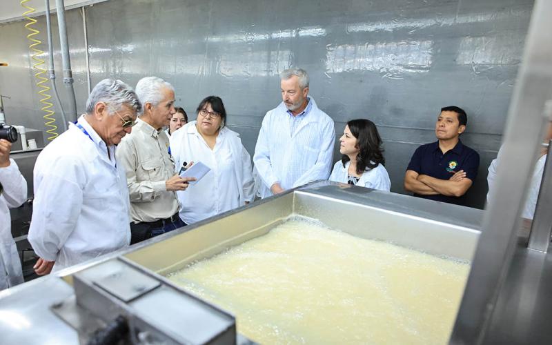 Fortalecen cooperación internacional en el Programa Moscamed Guatemala