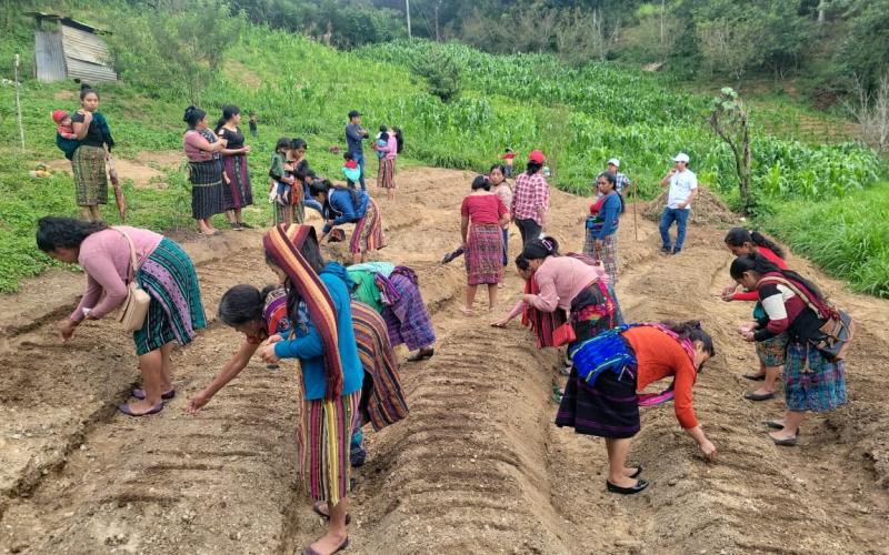 Huerto comunal en Quiché apoyará la seguridad alimentaria