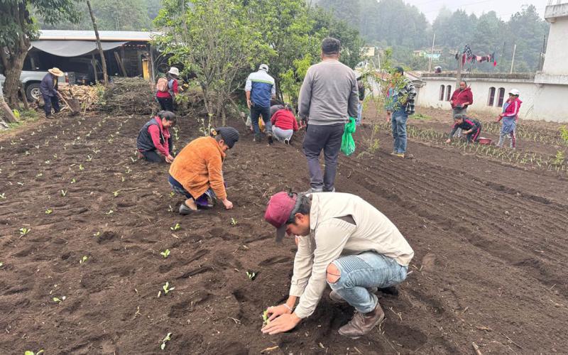 Huerto comunal en San Marcos promueve la seguridad alimentaria y desarrollo rural